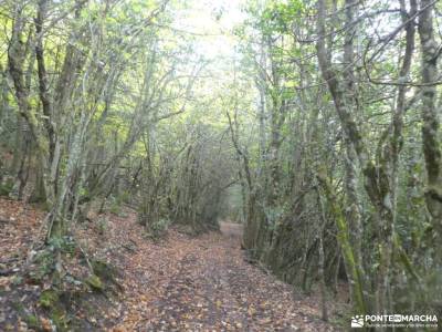 Parque Natural Babia y Luna; Tierra de Pastores Trashumantes; riofrio de riaza lozoya del valle viaj